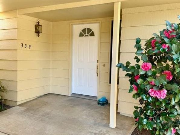 339 Twin Lakes Drive - Photo 1