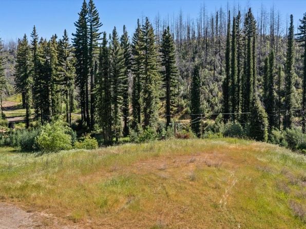 9440 Mill Creek Road - Photo 1