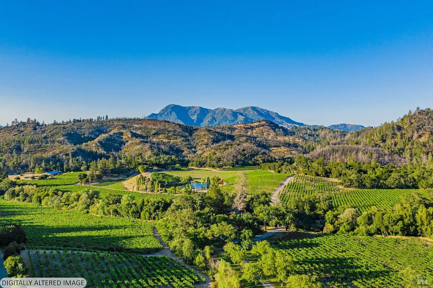 8320 Franz Valley Road - Photo 1