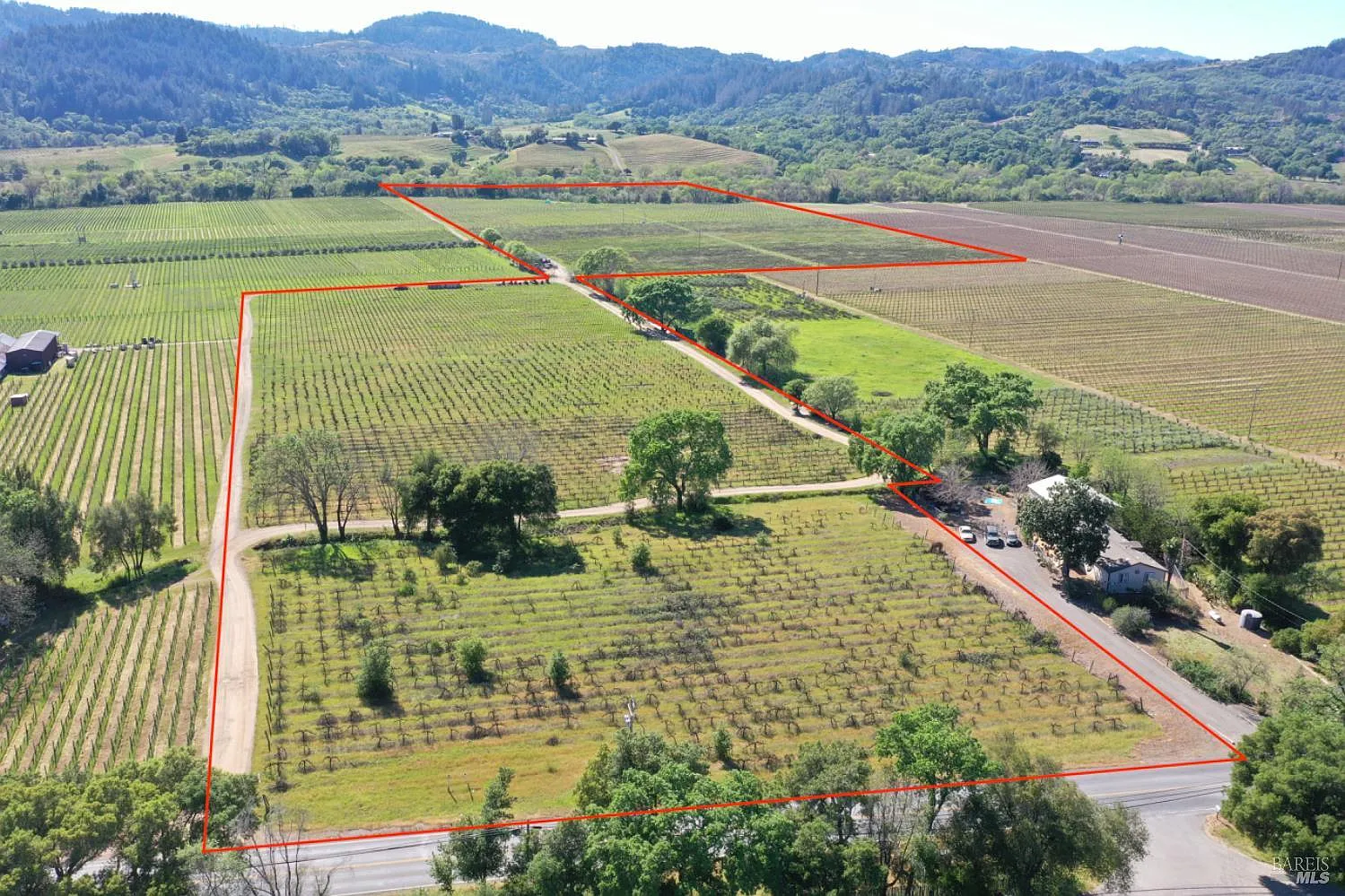4304 Dry Creek Road - Photo 1