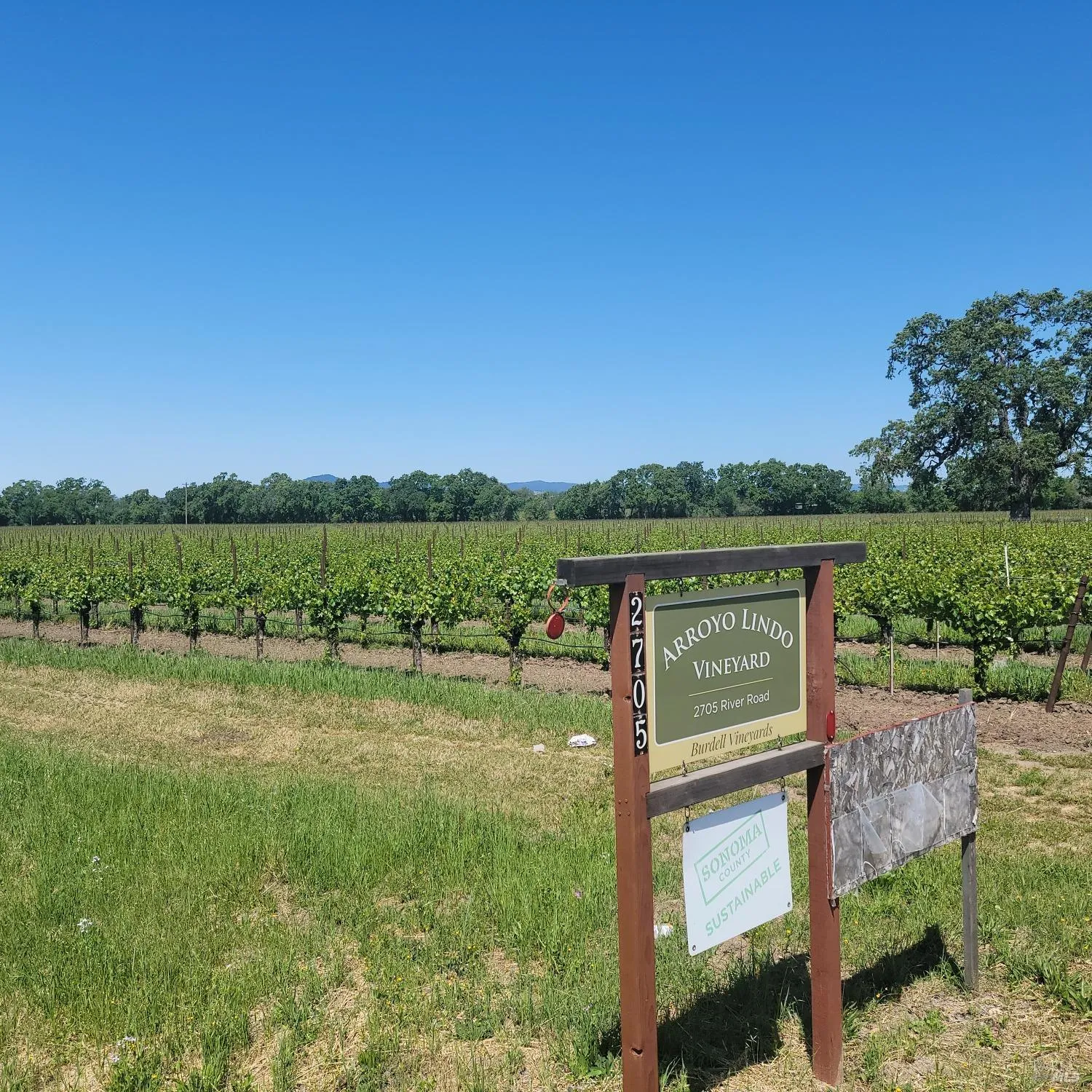 2705 River Road - Photo 1