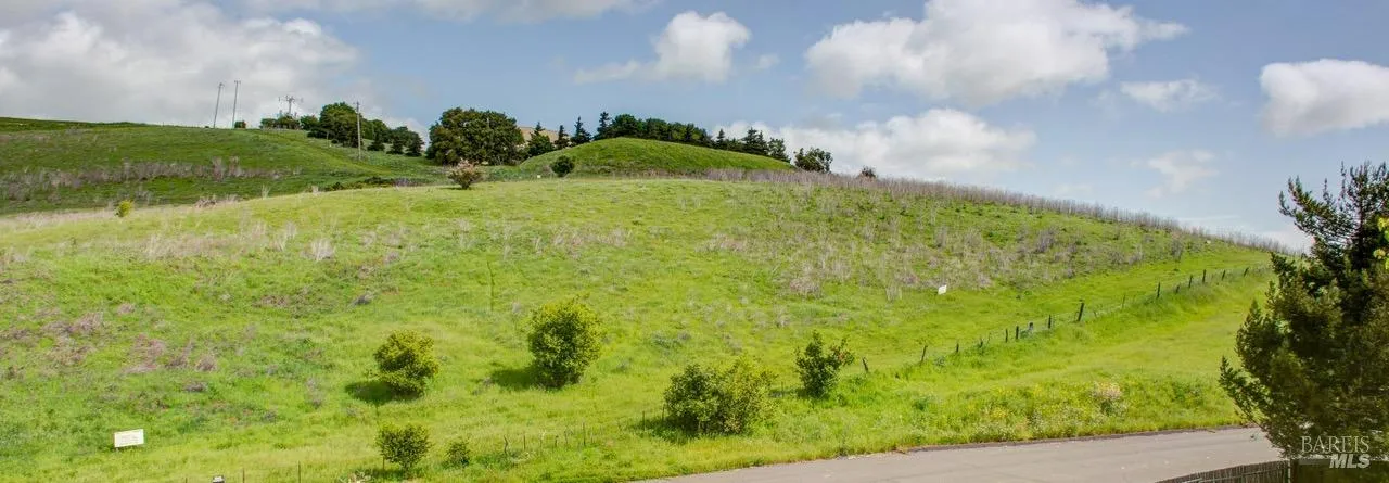 Eucalyptus Drive - Photo 1