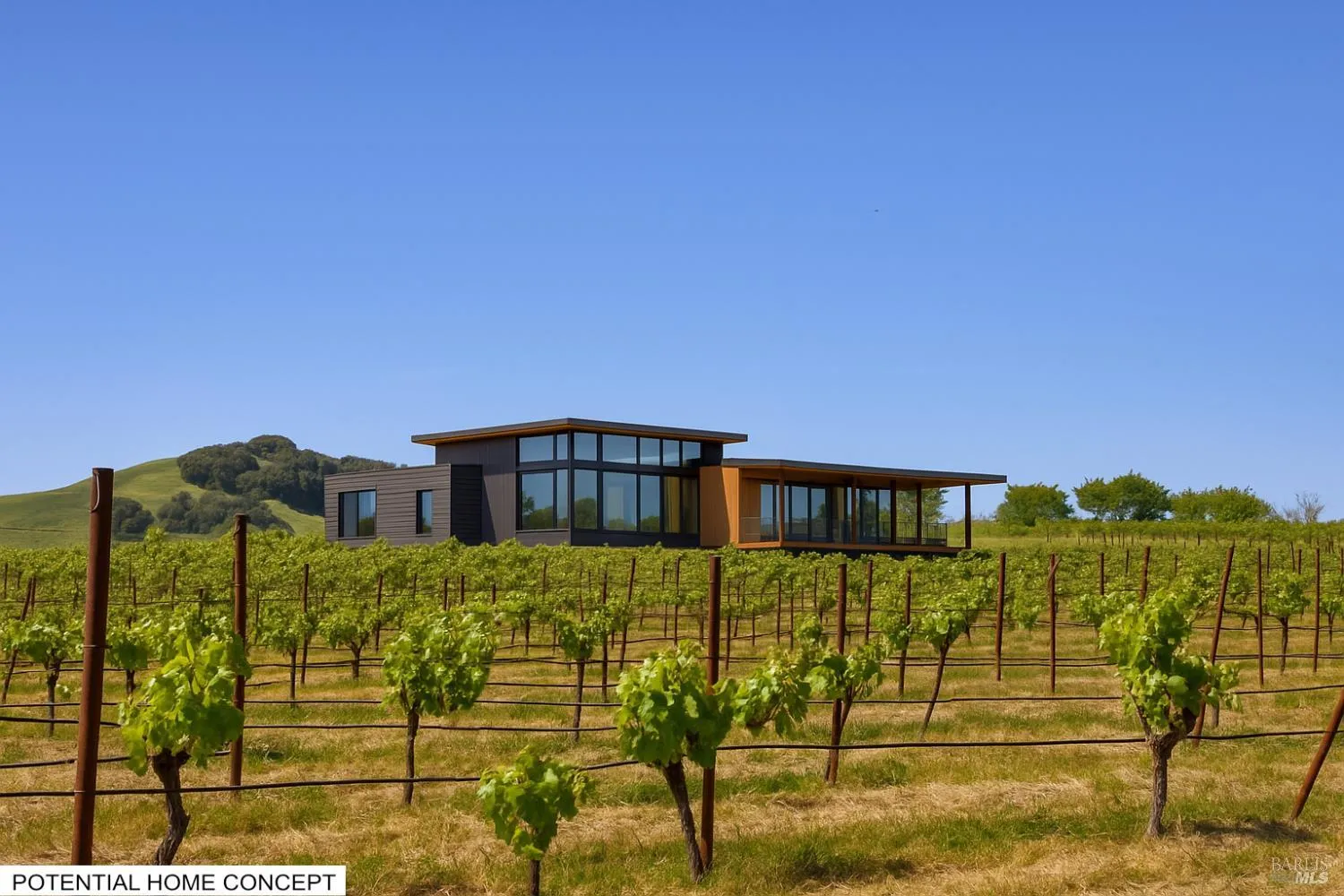 2590 Chileno Valley Road - Photo 1