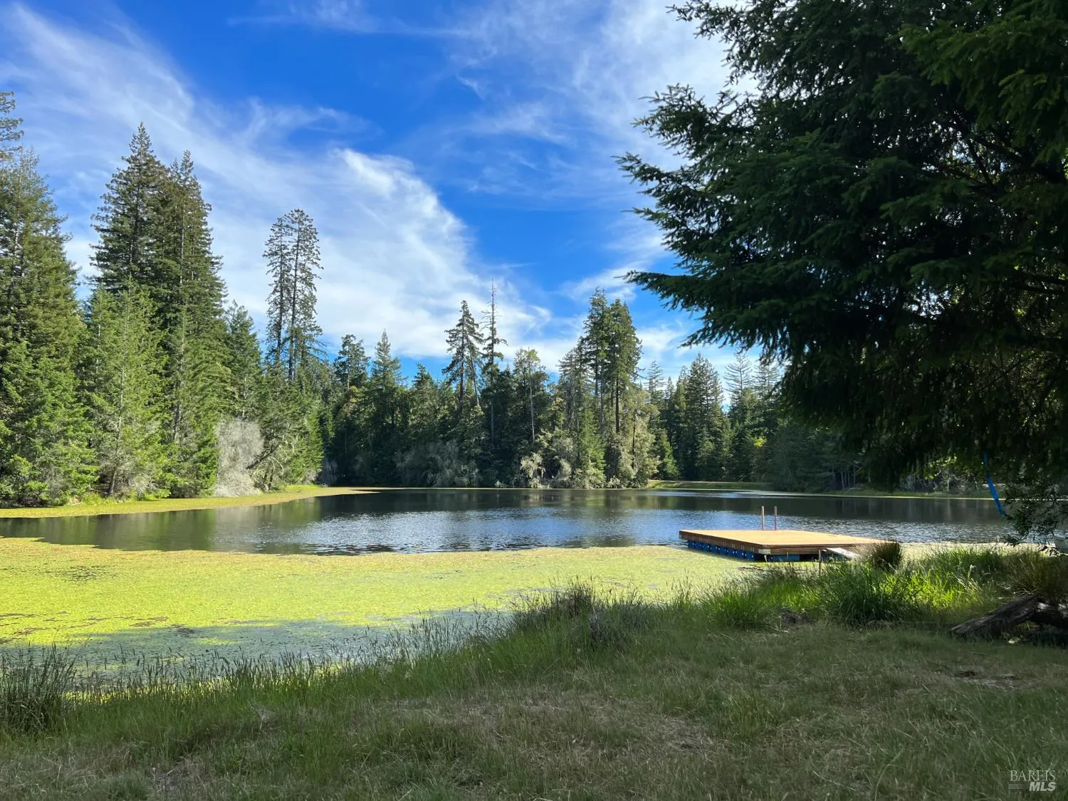 31010 Stewarts Point-skaggs Springs Road - Photo 1