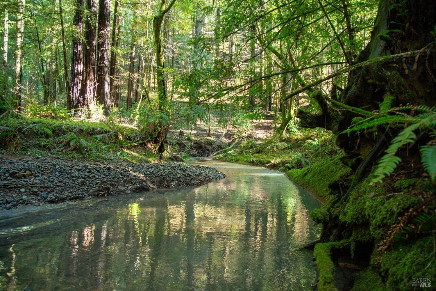 1490 Felta Road - Photo 1