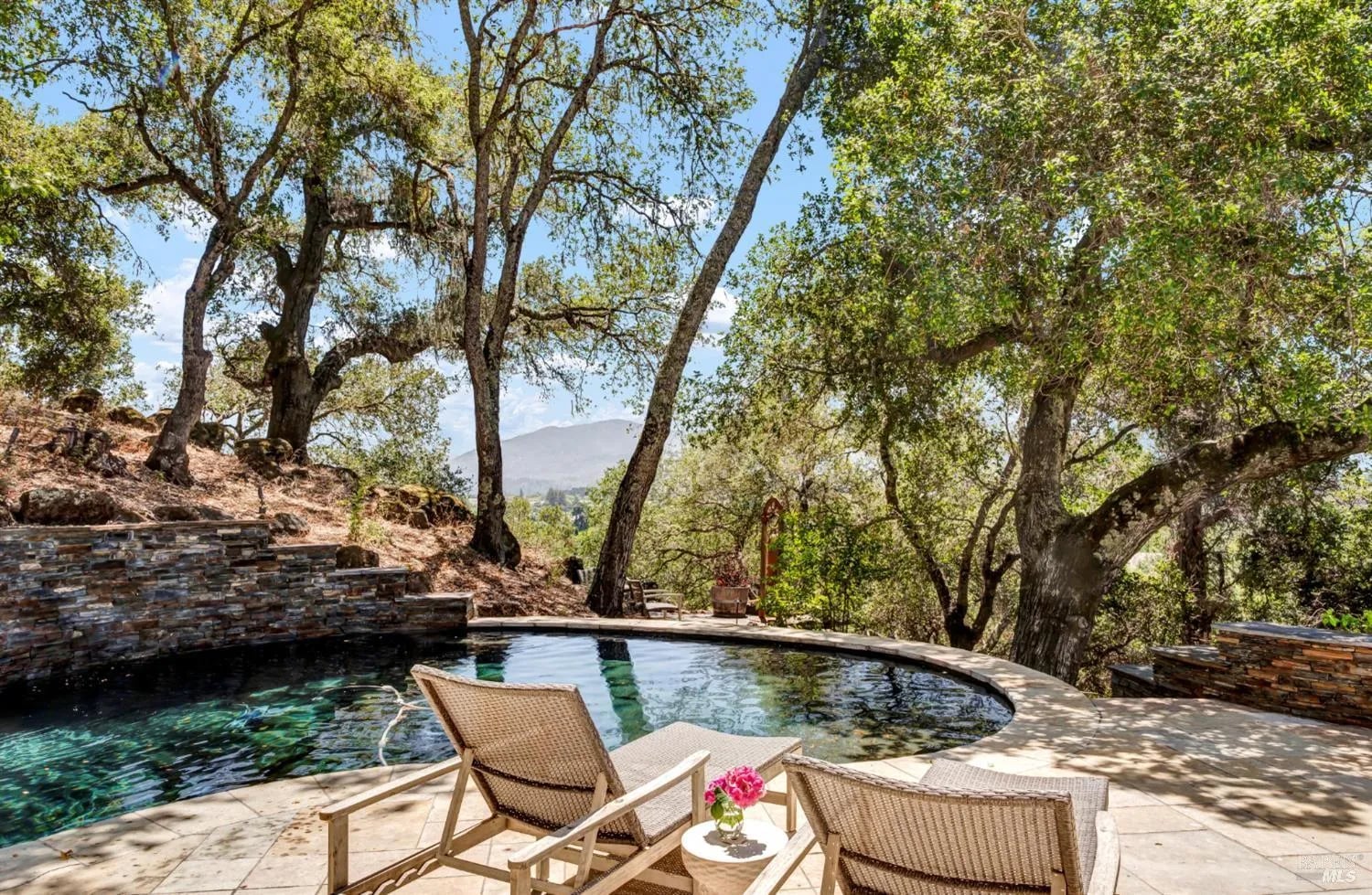 1700 Howell Mountain Road - Photo 1