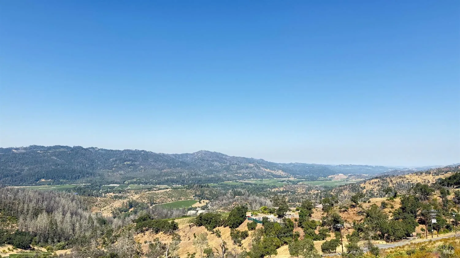 920 Crestmont Drive - Photo 1