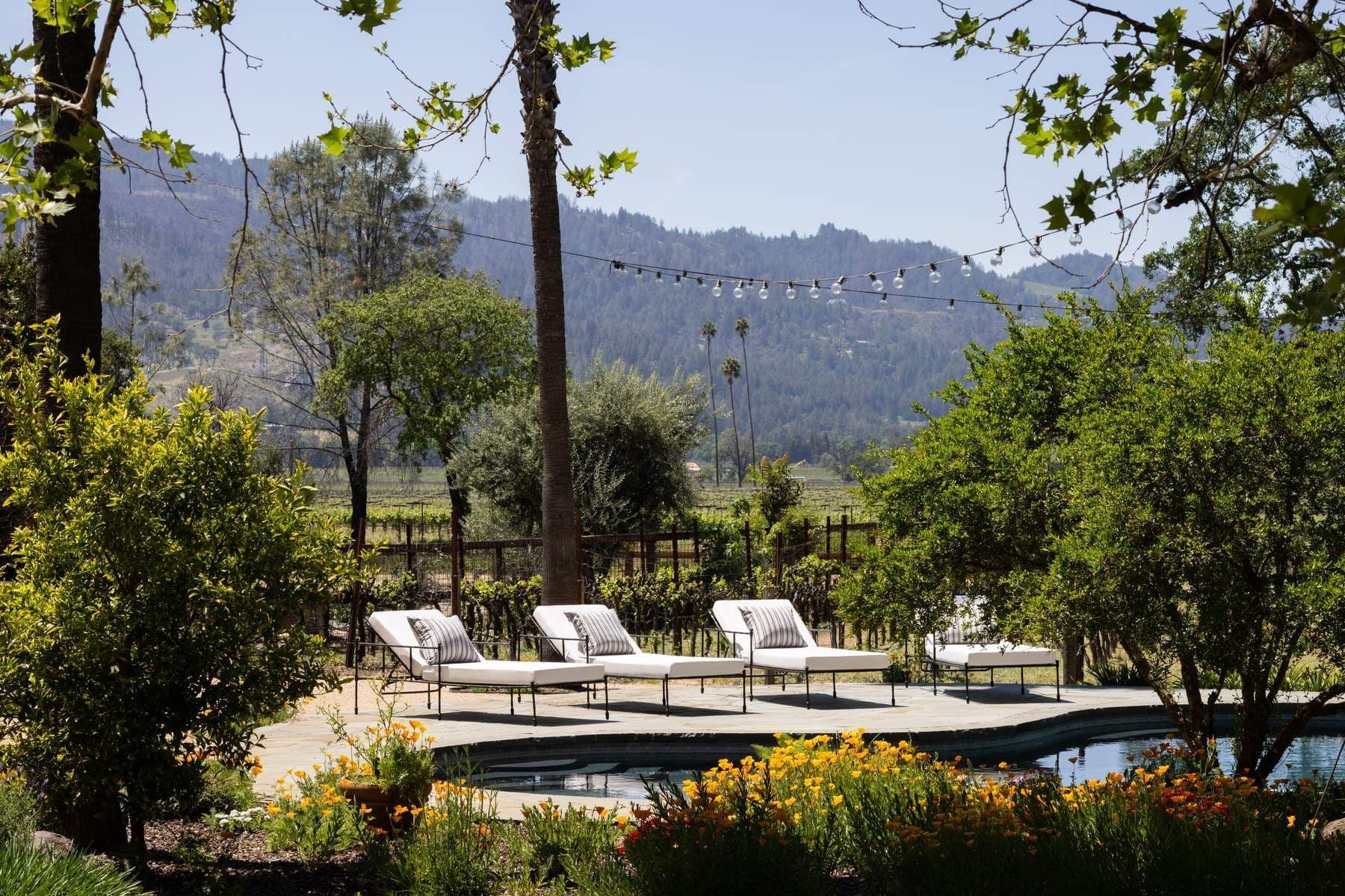 Luxury vineyard estate in Oakville