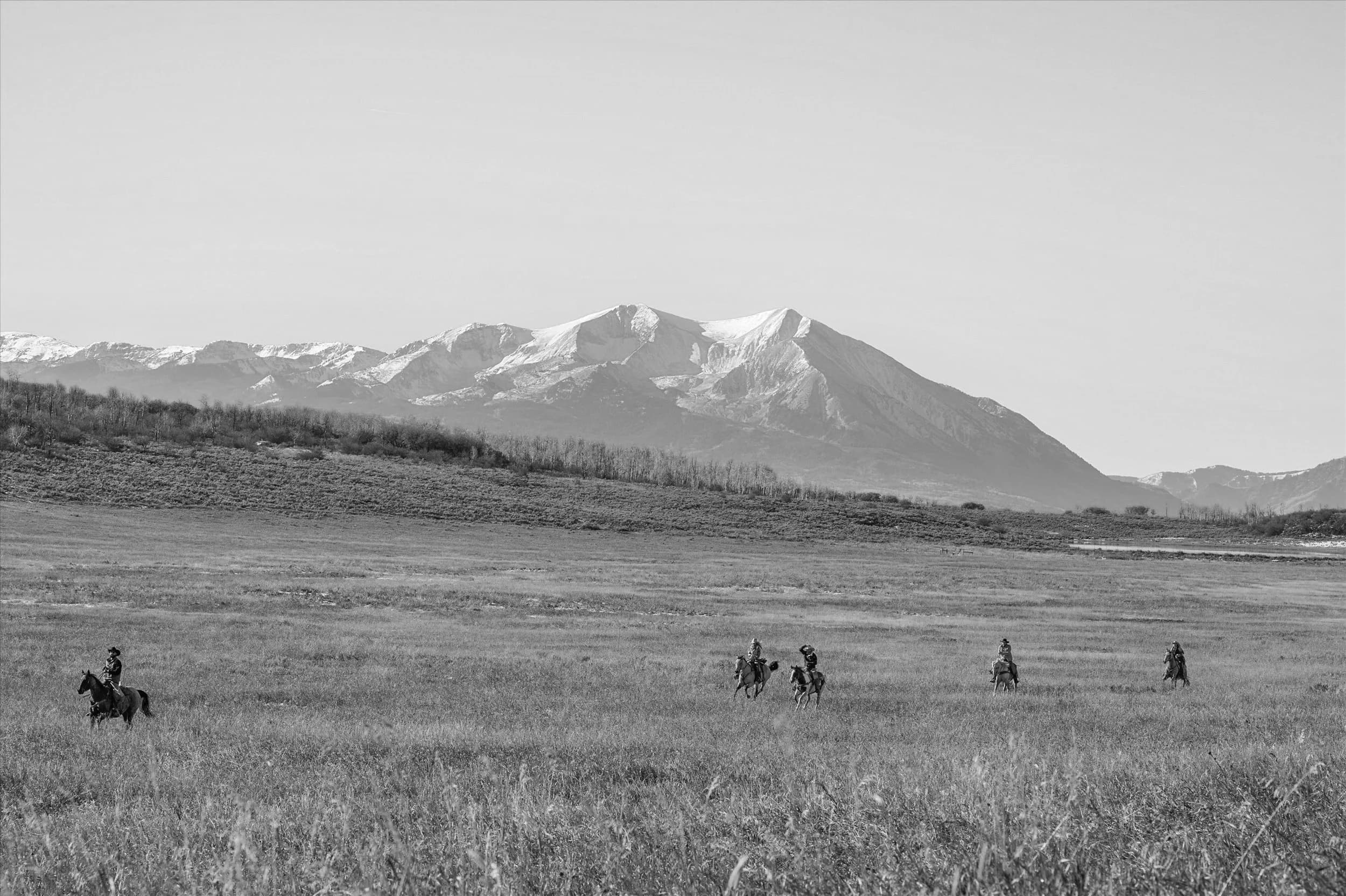 Luxury Real Estate Experience