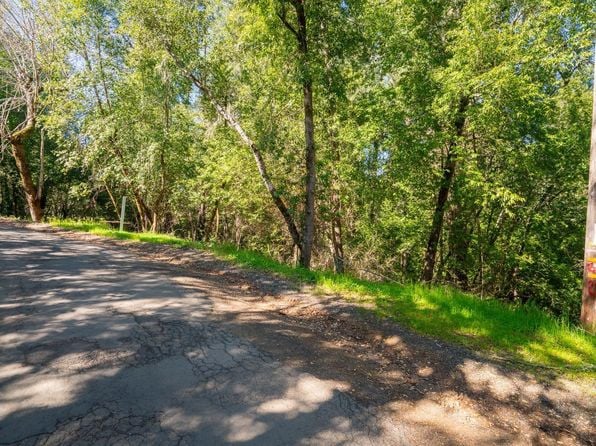 10608 Canyon Road - Photo 1