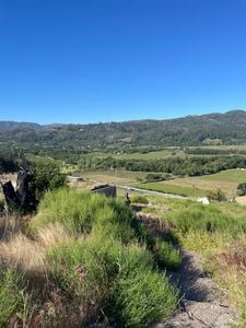 3500 Silverado Trail N - Photo 1