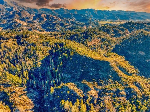 18730 State Highway 128 - Photo 1