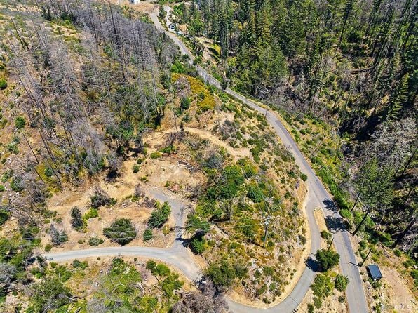 7905 St Helena Road - Photo 1