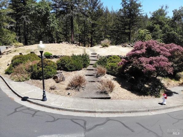 3829 Moss Hollow Court - Photo 1