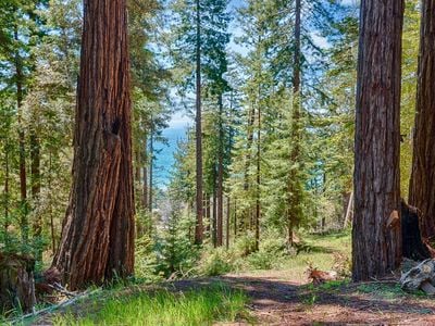 22196 Umland Circle - Photo 1