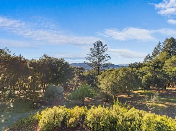 7061 Bennett Valley Road - Photo 1