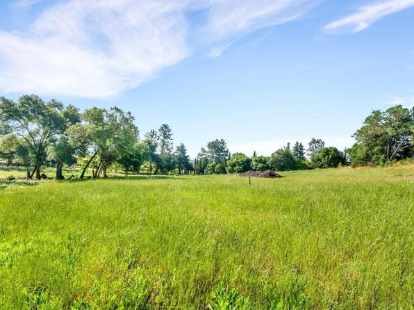 1100 Lytton Springs Road - Photo 1