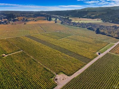 636 Dry Creek Road - Photo 1