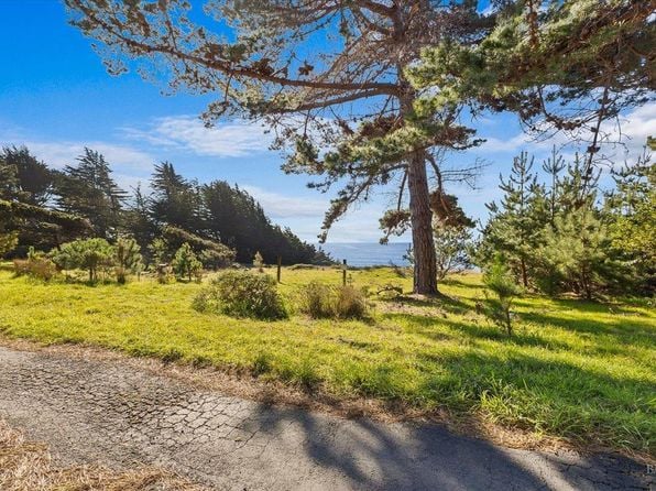 22084 Ninive Drive - Photo 1