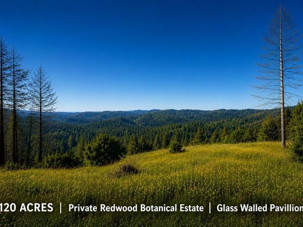 18900 Armstrong Woods Road - Photo 1