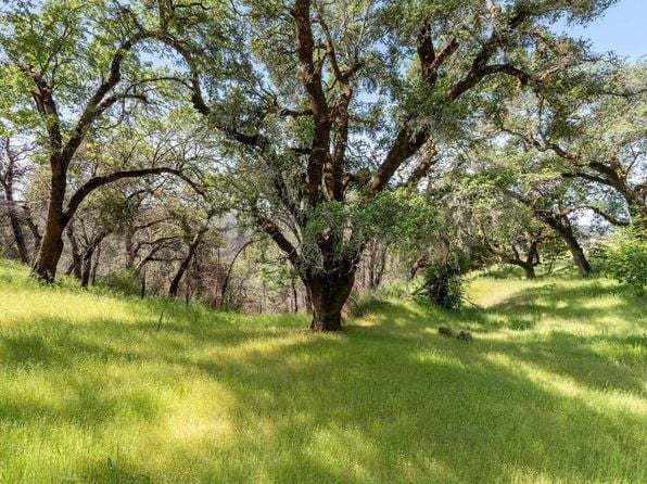 2440 Big Ridge Road - Photo 1