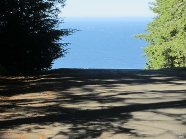 398 Packet Close Road - Photo 1