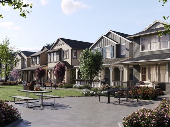 The Marigold Plan, Ava Lane - Photo 1