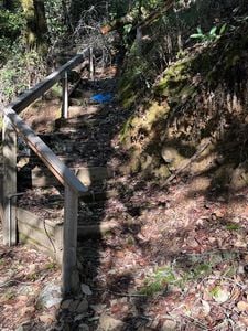 17561 Duncan Road - Photo 1