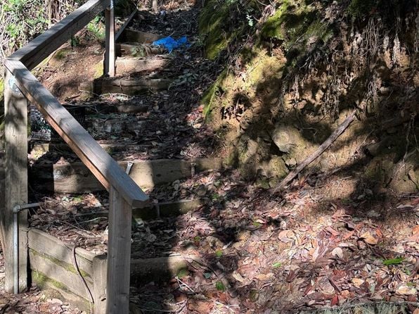 17561 Duncan Road - Photo 1