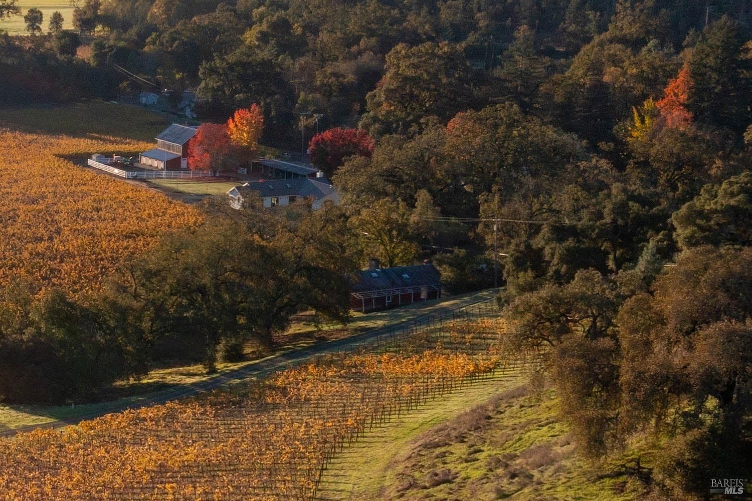 970 - 960 Conn Valley Road - Photo 1