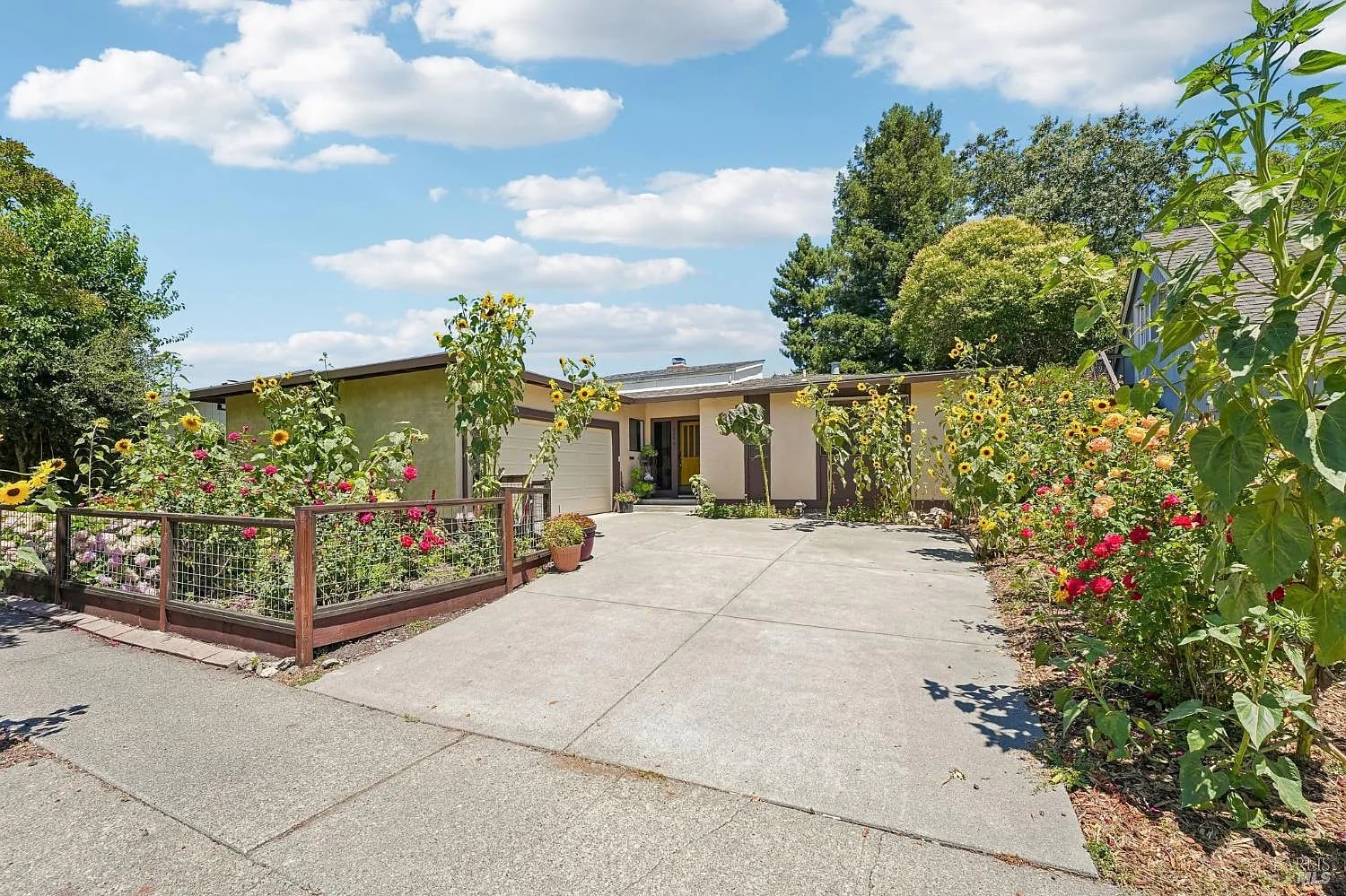 6644 Greenmeadow Drive - Photo 1