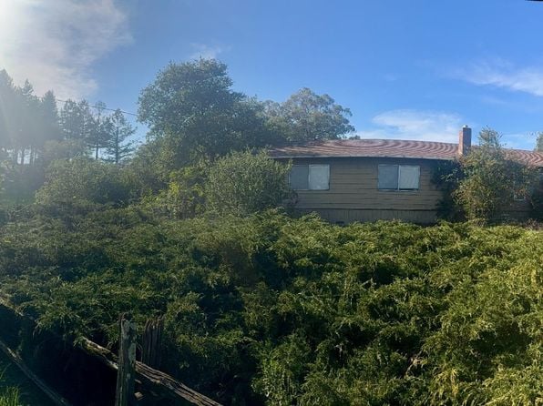 4550 Hidden Springs Road - Photo 1