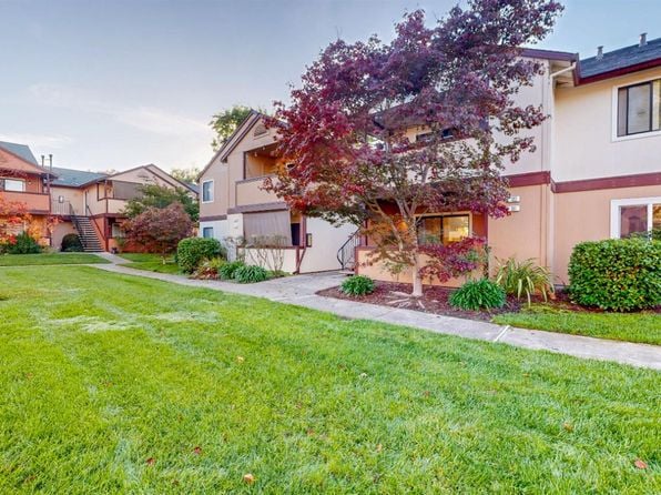 8201 Camino Colegio Drive #101 - Photo 1