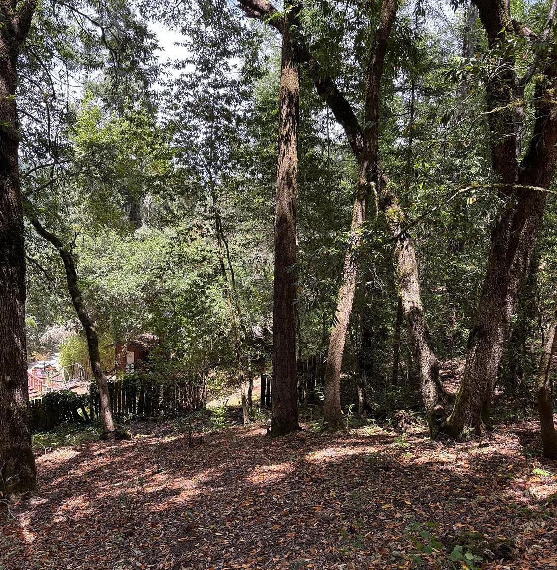 9868 Hillside Drive - Photo 1