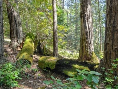 335 Deerfield - Photo 1