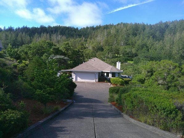 445 Crestridge Place - Photo 1