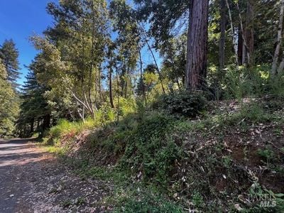 17599 Woods Avenue - Photo 1