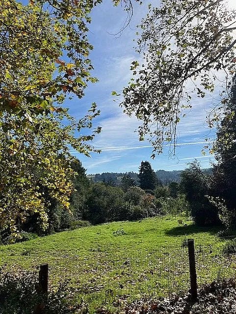 312 Grandview Rd - Photo 1