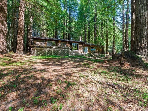 16735 Lauri Lane - Photo 1