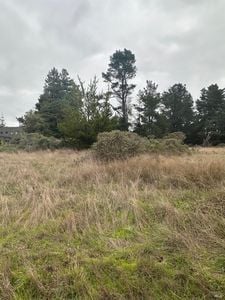 35604 Timber Ridge Road - Photo 1