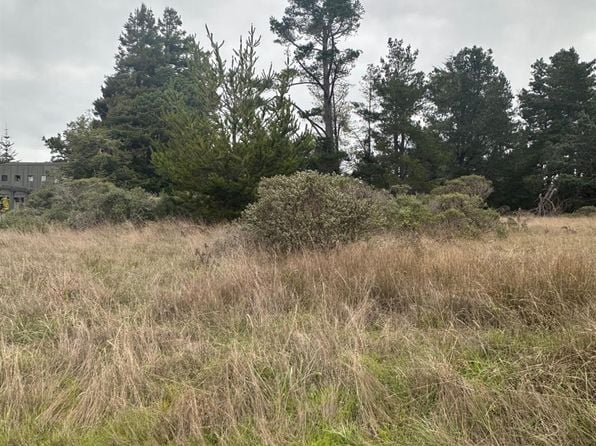 35604 Timber Ridge Road - Photo 1