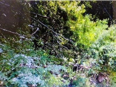 18355 Neeley Road - Photo 1