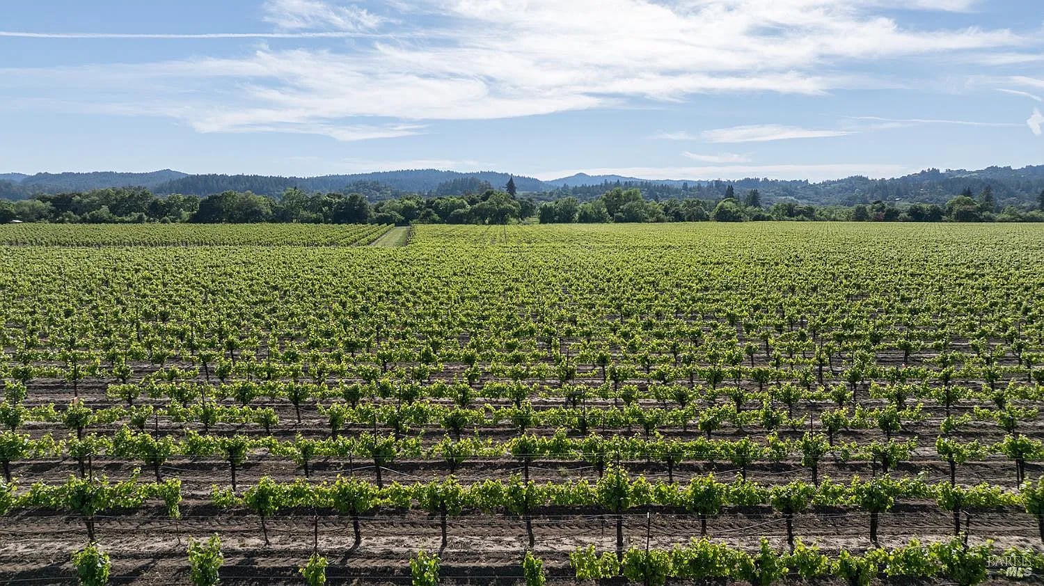 374 Kinley Drive - Photo 1