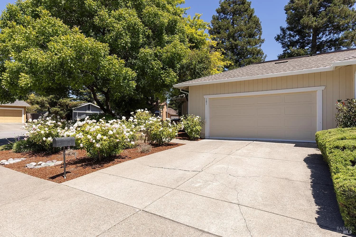 101 Miller Court - Photo 1