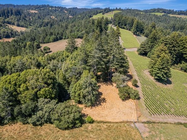 0 S Bodega Highway - Photo 1