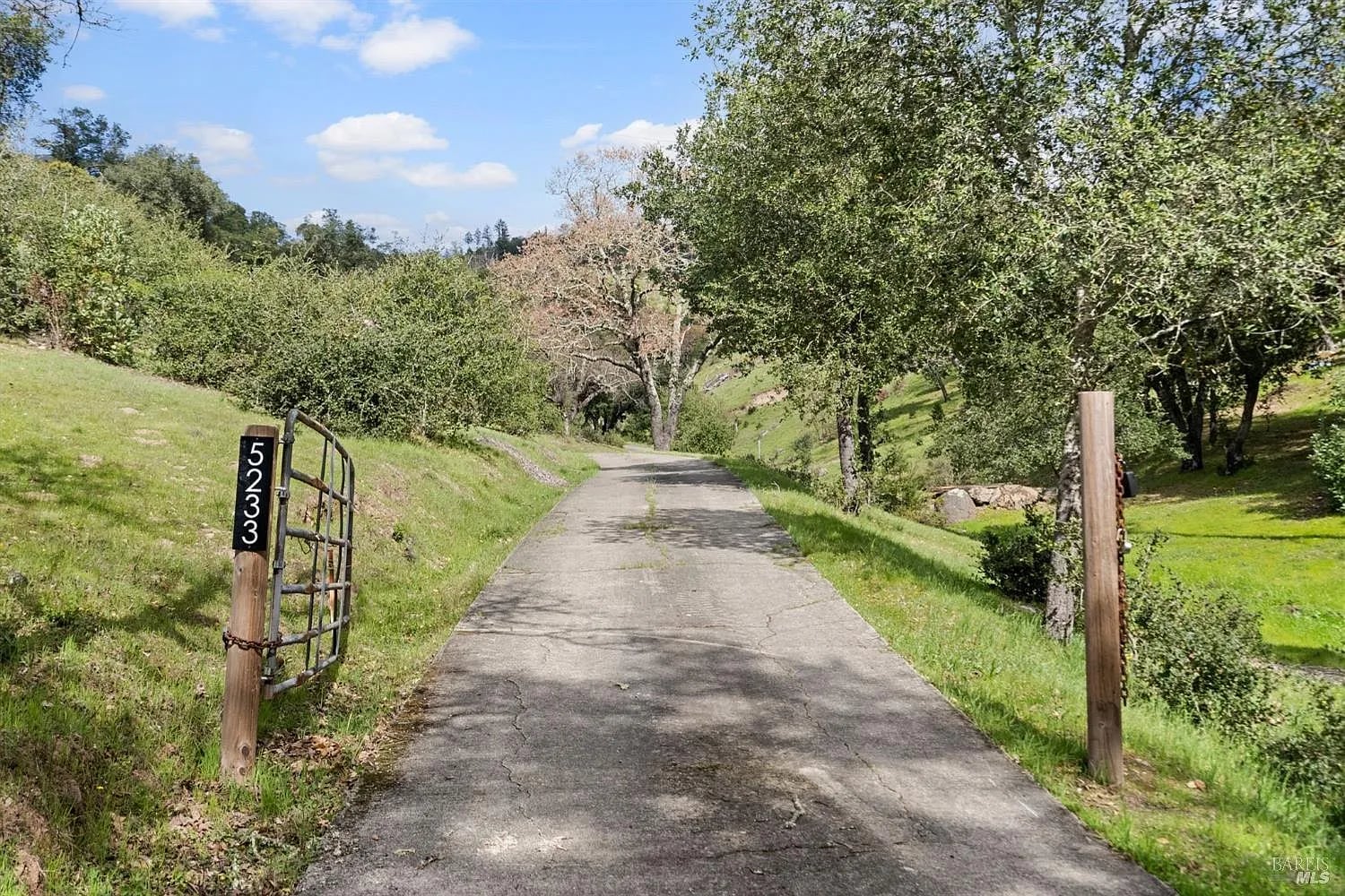 5233 Winter Creek Road - Photo 1