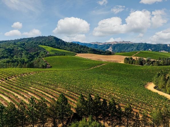 9965 W Dry Creek Road - Photo 1