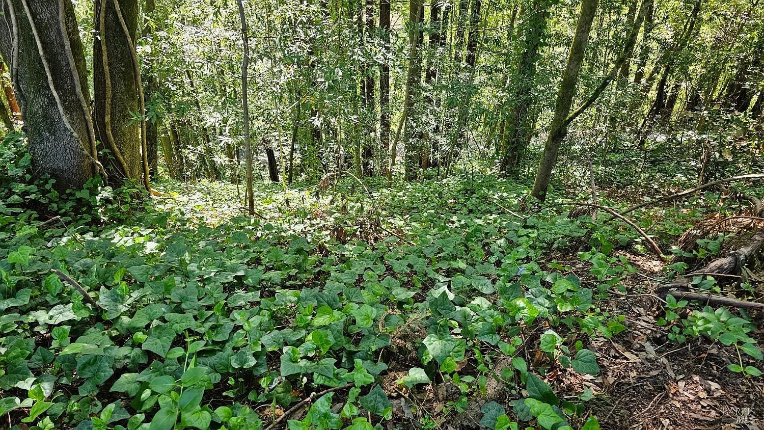 15953 Riverside (Palo Alto) Drive - Photo 1