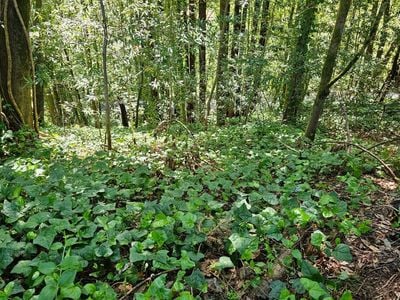 15953 Riverside (Palo Alto) Drive - Photo 1