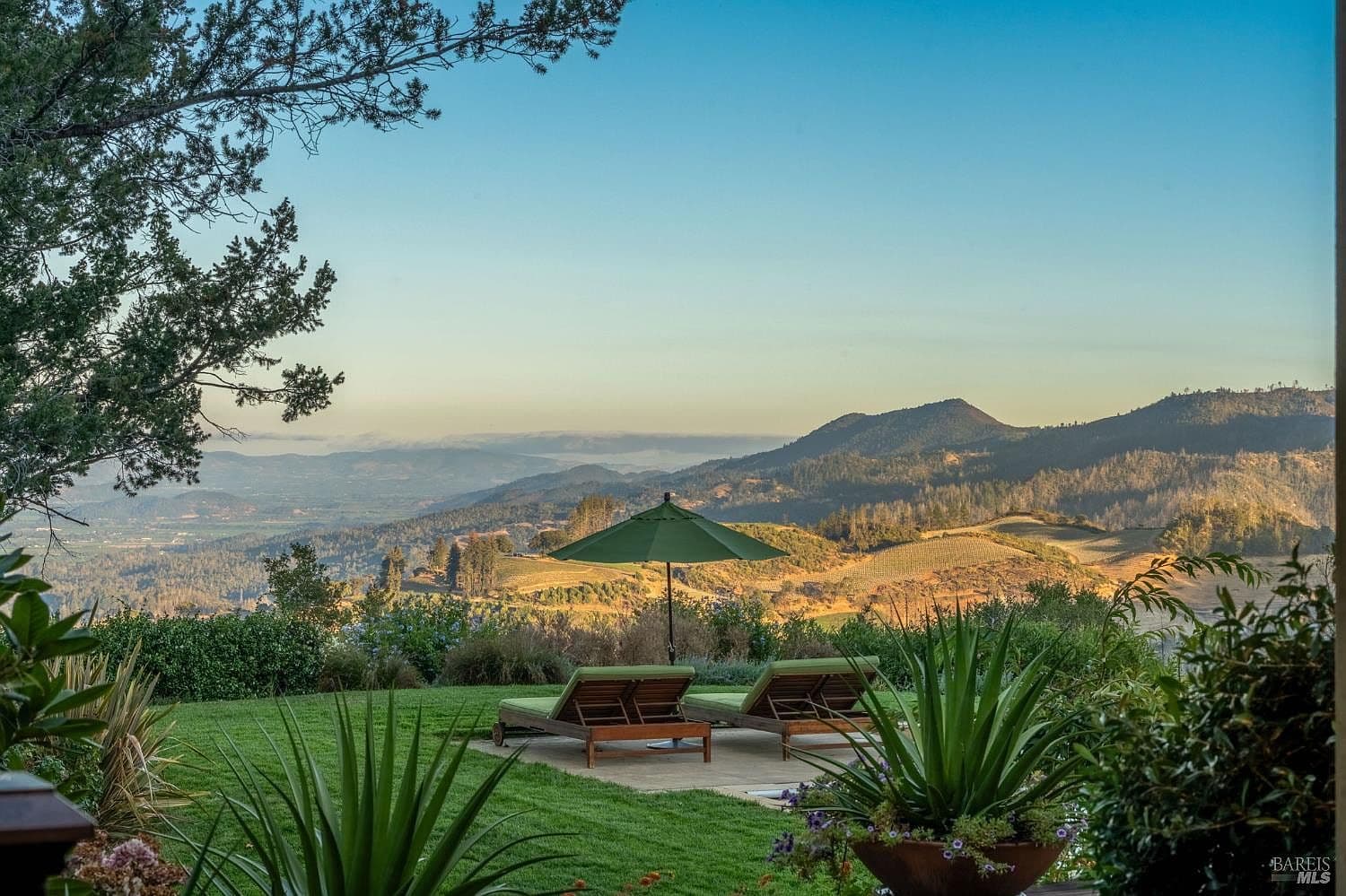 3620 Spring Mountain Road - Photo 1